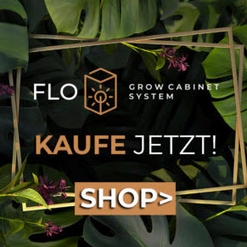 Komplette Growbox Einrichtung